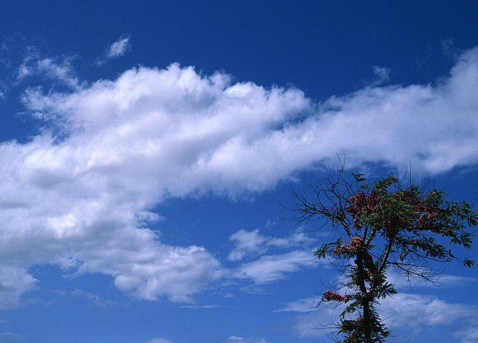 [wallcoo.com]_sky_AP23078.jpg