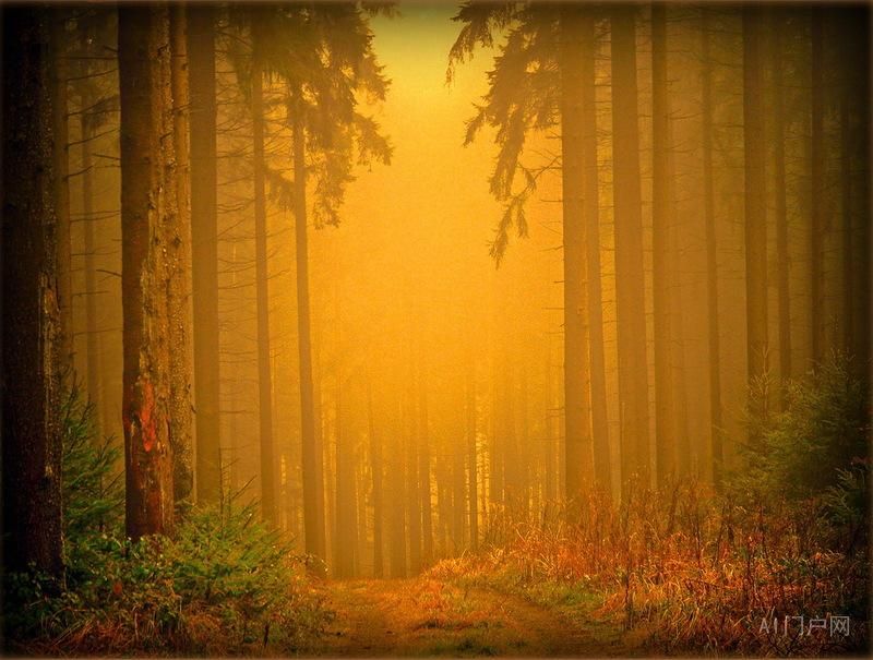 预制菜：工业化浪潮中的饮食革命与信任重构