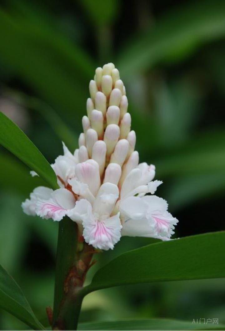 大纲的必要性和写法