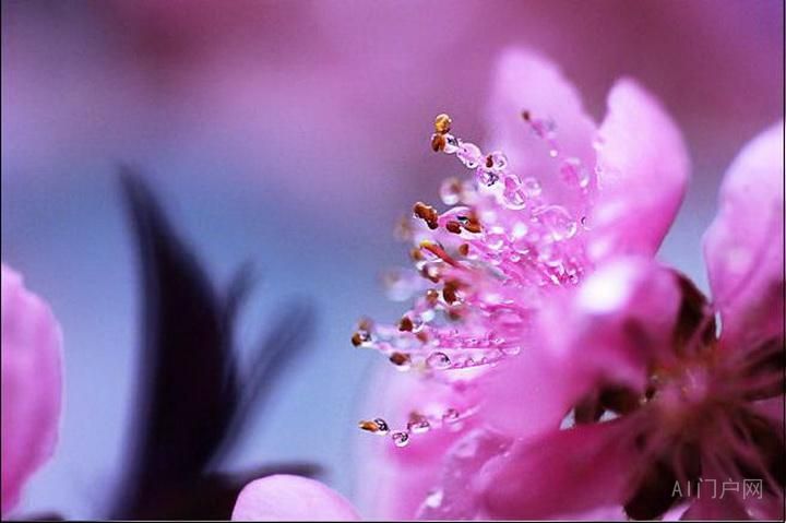 小说大纲 小说类型