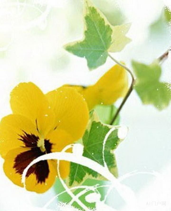 网络小说从时间轴，设定，情节等方面对这条主线进行