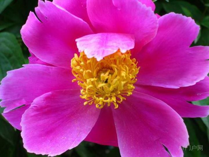 都市写作大纲24条主线