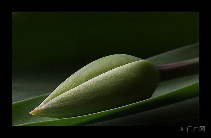 关于开篇与后续：网文最重要的是速度