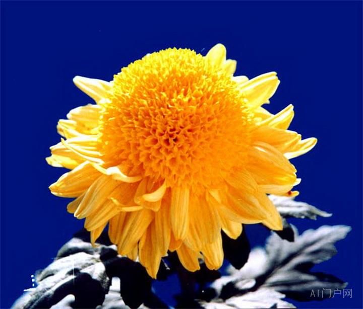 玄幻小说写作范例