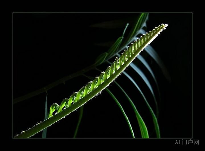 《七界传说》前十卷详细内容介绍