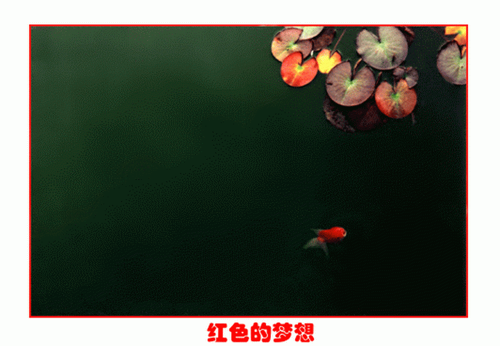 起点神作的标准提纲！照此提纲写，不火才是没天理！