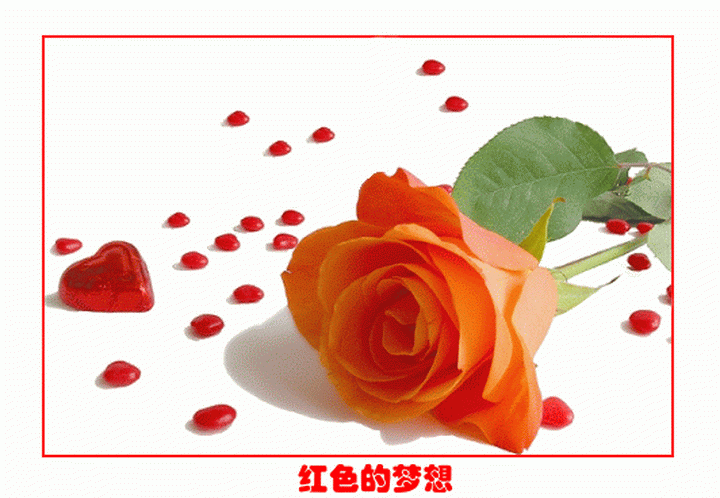 网络小说业写作指南：坚持，完本，第一本不灌水，求突破，求创新