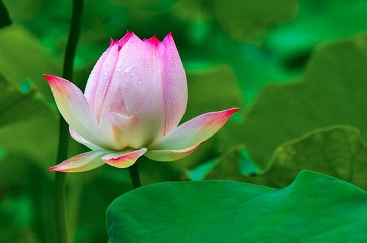 世界背景环境设定