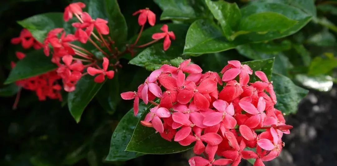 有关中国的知识，够用一辈子的知识大全（高人整理）