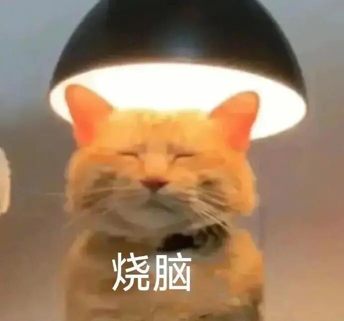 “害我笑了一上午的搞笑句子，又皮又欠揍”